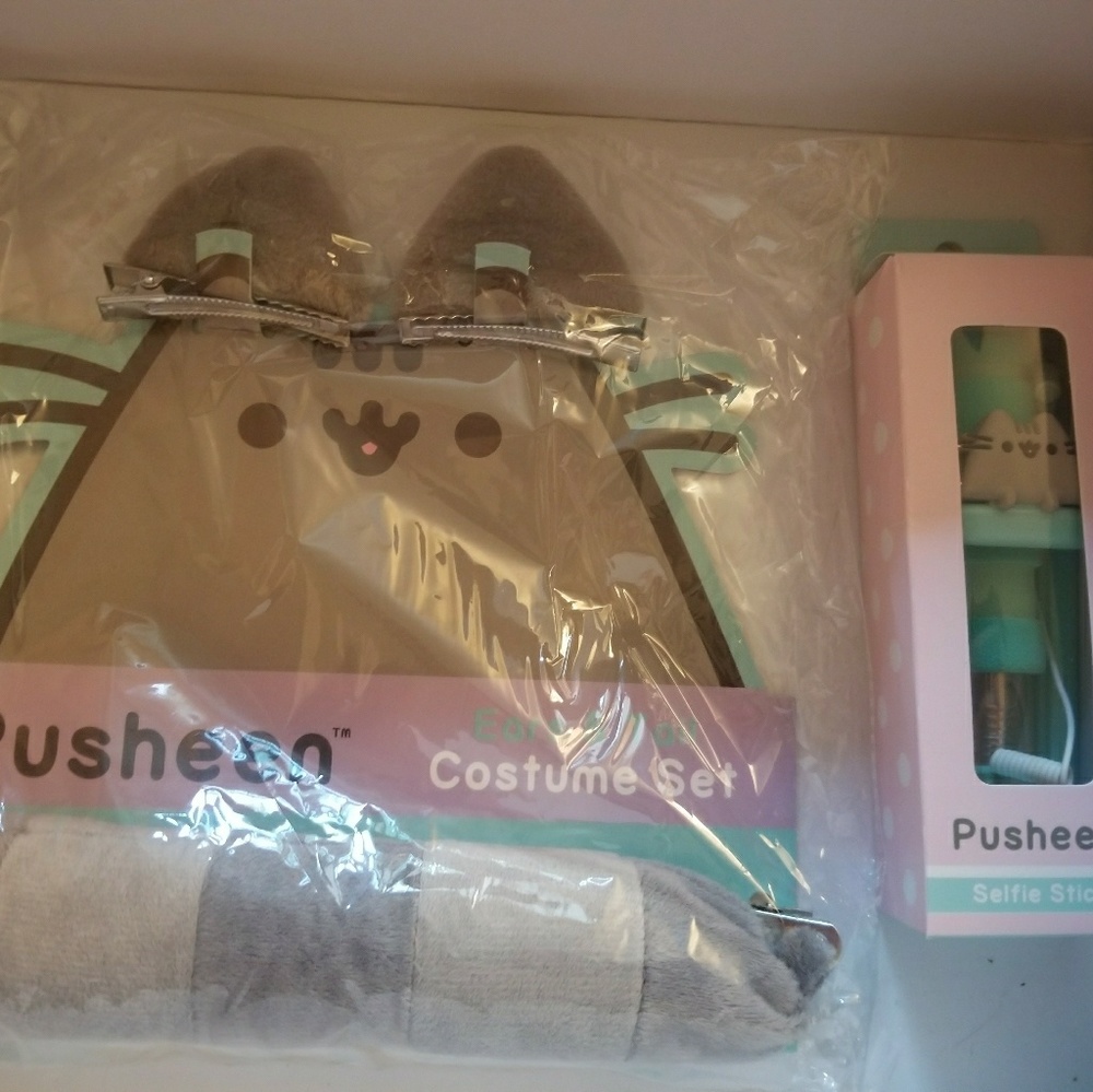 Pusheen ear and tail costume // selfie stick